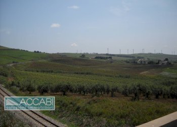 Foto 34 - Rustic Contrada Regalbesi, Erice - photo 34