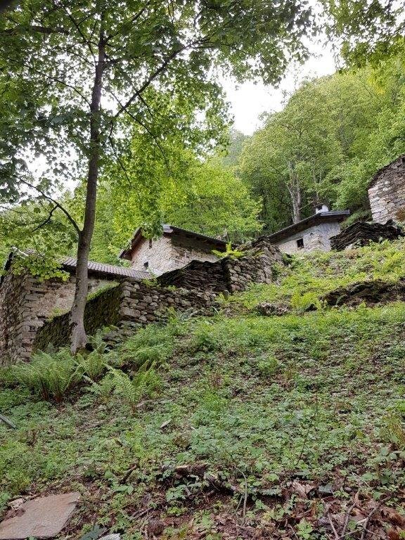 Foto 1 - Rustico Località Princheggio, Gurro - foto 1