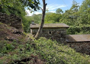 Foto 6 - Rustico Località Princheggio, Gurro - foto 6