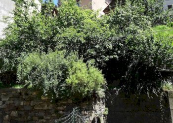 Foto 2 - Casa indipendente gurro, Gurro - foto 2