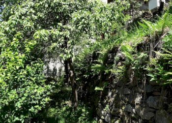 Foto 6 - Casa indipendente gurro, Gurro - foto 6