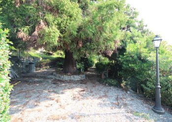 Foto 7 - Villa Via Monterosso, Verbania - foto 7