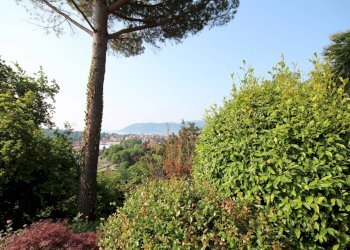 Foto 14 - Villa Via Monterosso, Verbania - foto 14