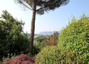 Foto 16 - Villa Via Monterosso, Verbania - foto 16