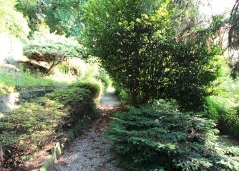 Foto 26 - Villa Via Monterosso, Verbania - foto 26