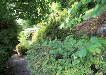 Foto 28 - Villa Via Monterosso, Verbania - foto 28