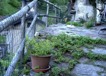 Foto 31 - Casa indipendente Via Case Sparse, Gurro - foto 31