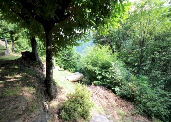 Foto 13 - Rustic Falmenta - Località Pettenigo, Valle Cannobina - photo 13