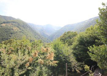 Foto 25 - Rustic Falmenta - Località Pettenigo, Valle Cannobina - photo 25