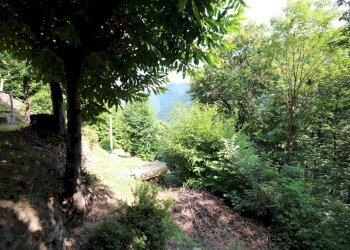 Foto 51 - Rustic Falmenta - Località Pettenigo, Valle Cannobina - photo 51