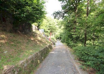 Foto 53 - Rustic Falmenta - Località Pettenigo, Valle Cannobina - photo 53