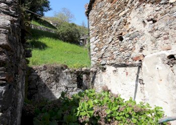 Foto 15 - Rustic RONDONICO, Cannobio - photo 15