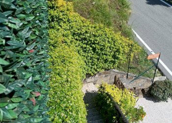 Foto 11 - Casa indipendente Via Provinciale Nivetta
 
10, Valle Cannobina - foto 11