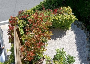 Foto 16 - Casa indipendente Via Provinciale Nivetta
 
10, Valle Cannobina - foto 16