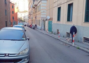 Foto 2 - Cantina / Solaio VIA PONZA
 
8, Genova - foto 2