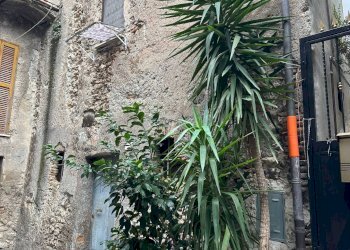 Foto 53 - Bilocale via giacomo matteotti
 
79, Palombara Sabina - foto 53