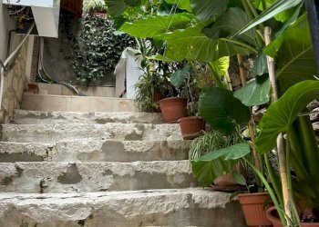 Foto 57 - Bilocale via giacomo matteotti
 
79, Palombara Sabina - foto 57