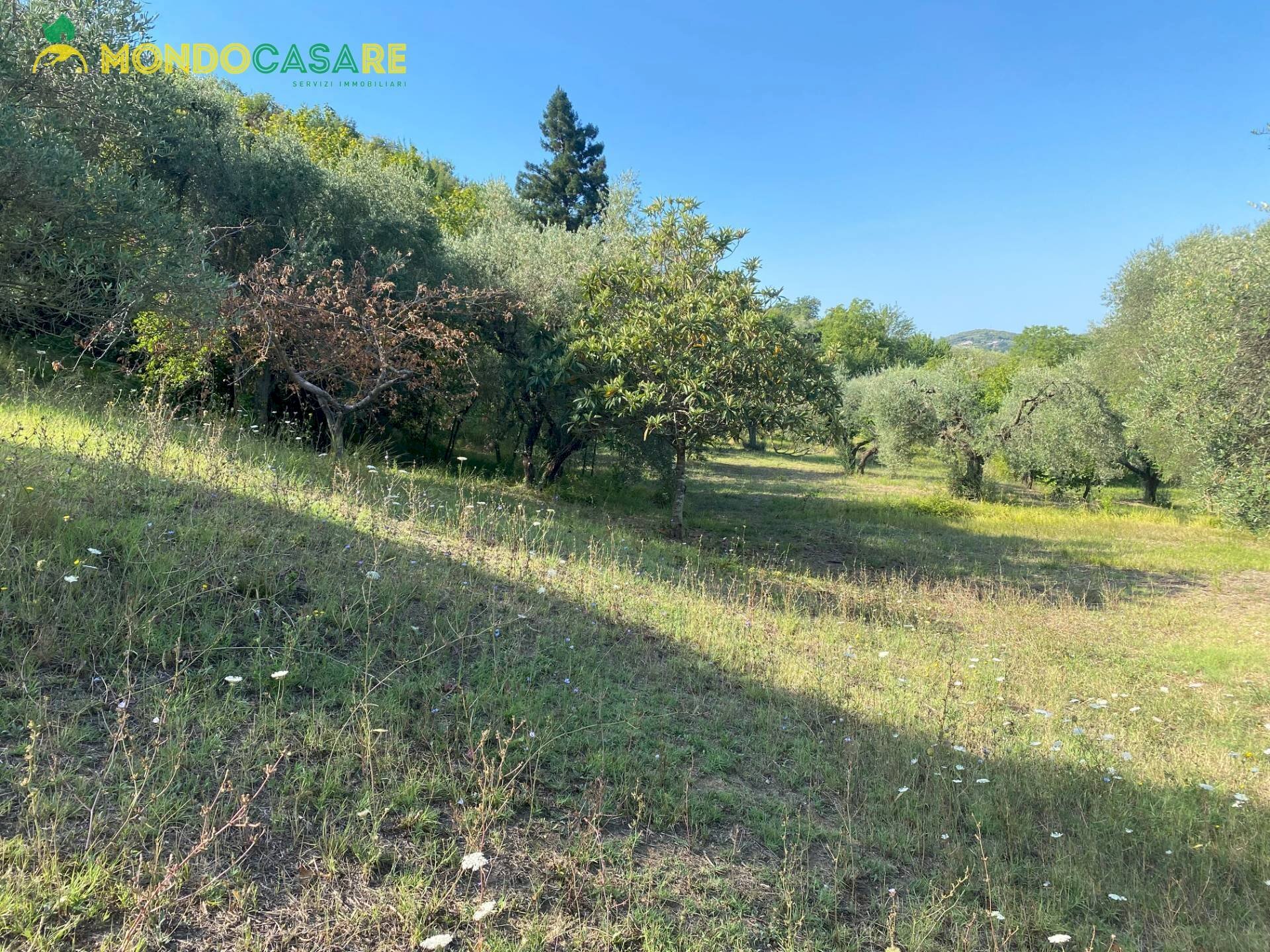 Foto 3 - Terreno agricolo via tommaso da cori, Palombara Sabina - foto 3