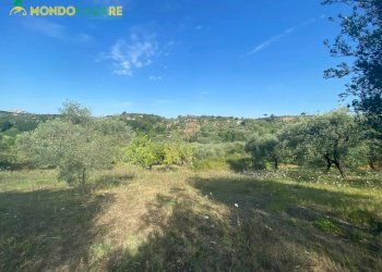 Foto 1 - Terreno agricolo via tommaso da cori, Palombara Sabina - foto 1