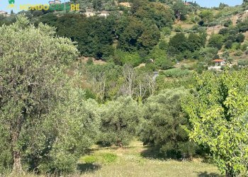 Foto 2 - Terreno agricolo via tommaso da cori, Palombara Sabina - foto 2