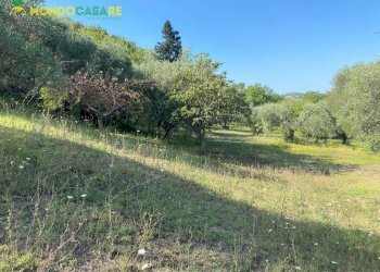 Foto 3 - Terreno agricolo via tommaso da cori, Palombara Sabina - foto 3