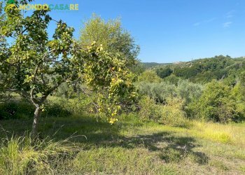 Foto 5 - Terreno agricolo via tommaso da cori, Palombara Sabina - foto 5