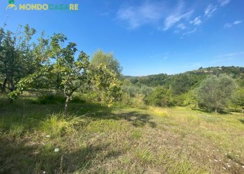 Foto 6 - Terreno agricolo via tommaso da cori, Palombara Sabina - foto 6