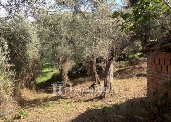 Foto 32 - Independent house via di coli e spezi, Massarosa - photo 29