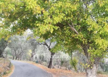 Foto 37 - Independent house via di coli e spezi, Massarosa - photo 34