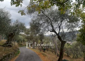 Foto 38 - Independent house via di coli e spezi, Massarosa - photo 35