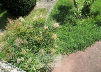 Foto 16 - Villa via tabarrani, Camaiore - foto 16