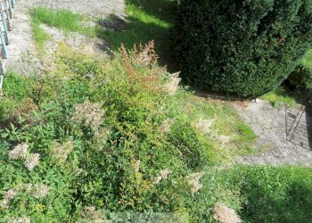 Foto 17 - Villa via tabarrani, Camaiore - foto 17