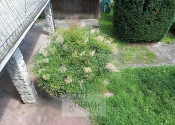 Foto 18 - Villa via tabarrani, Camaiore - foto 18