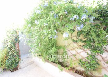 Foto 31 - Appartamento via Prato, Viareggio - foto 30