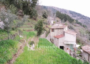 Foto 16 - Independent house Via dei Norcini Gombitelli, Camaiore - photo 15