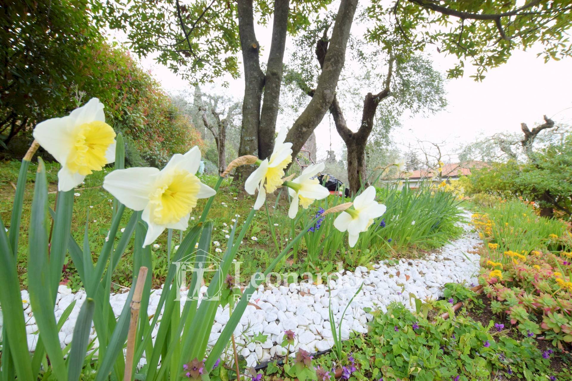 Foto 2 - Villa via Del Campisano, Massarosa - foto 2