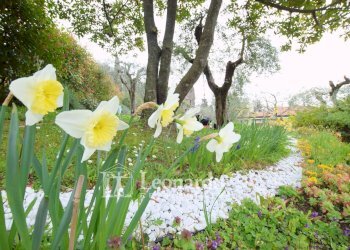 Foto 2 - Villa via Del Campisano, Massarosa - foto 2