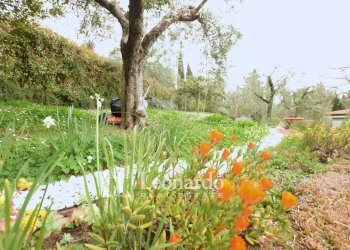 Foto 32 - Villa via Del Campisano, Massarosa - foto 32