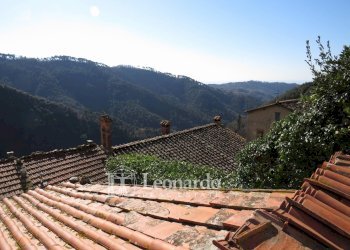 Foto 33 - Independent house Via di Redolo Torcigliano, Camaiore - photo 32