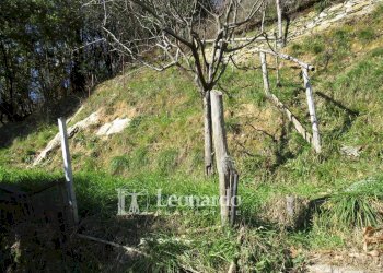 Foto 34 - Independent house Via di Redolo Torcigliano, Camaiore - photo 33