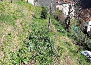 Foto 35 - Independent house Via di Redolo Torcigliano, Camaiore - photo 34