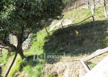 Foto 37 - Independent house Via di Redolo Torcigliano, Camaiore - photo 36