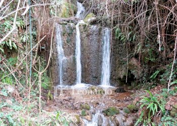 Foto 22 - Independent house Via Trescolli, Camaiore - photo 22