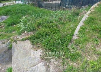 Foto 16 - Casa indipendente Via Castello, Pietrasanta - foto 14