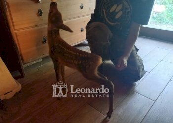 Foto 34 - Independent house Via delle Margine, Stazzema - photo 33