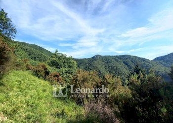 Foto 36 - Independent house Via delle Margine, Stazzema - photo 35