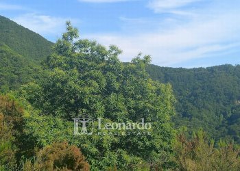 Foto 37 - Independent house Via delle Margine, Stazzema - photo 36