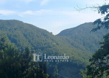 Foto 38 - Independent house Via delle Margine, Stazzema - photo 37