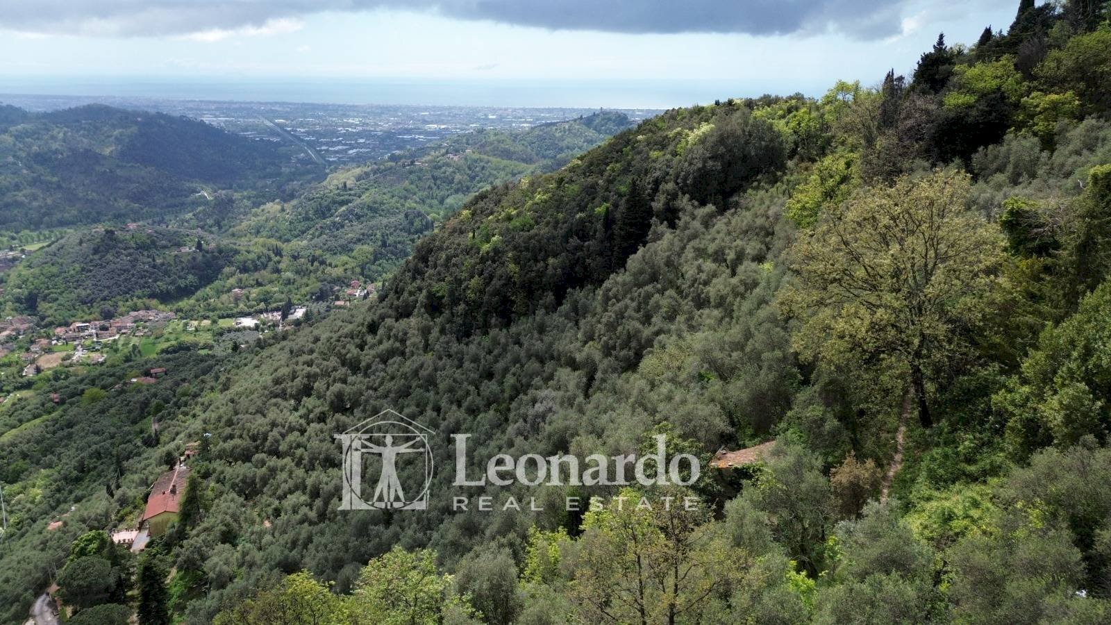 Foto 2 - Agricultural land Greppolungo, Camaiore - photo 2