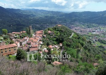 Foto 1 - Agricultural land Greppolungo, Camaiore - photo 1